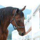 동자목장 이미지