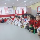 메가스태권도 이미지