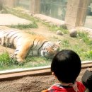 동물은내친구 이미지