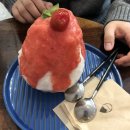 소풀 이미지