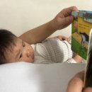 도현이네 농장 이미지