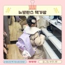 블링사라 | 뉴발란스 책가방 예비초등 블링윙 세트 솔직후기와 구매요령