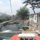 무릉도원면-49 이미지