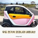 우도전기차