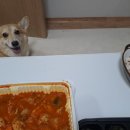 니밥내밥 이미지