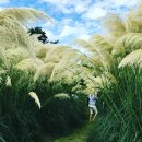 남상면-35 | 다가오는 가을 가볼만한 국내 여행지 추천(9,10월)