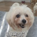 쓰담 이미지