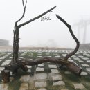 금지순환길 이미지