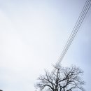 상학돌담길마을 이미지