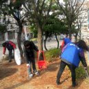 홍삼당약국 이미지