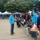 경주버섯축제 Daum카페