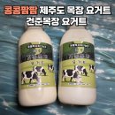 콩콩팜팜 건준목장 요거트 제주 판매점 위치 온라인 구매
