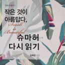 작은 것이 아름답다, 슈마허 다시 읽기 - 김해창 지음 이미지