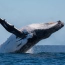 스페셜 노래방 이미지