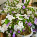 24시 카센터 이미지