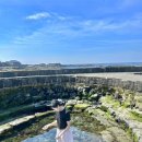 코난민박 이미지