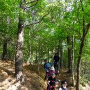 소정면사무소 이미지