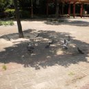 견우공원 이미지