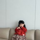 모미모미 이미지