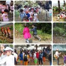 부광 농장 이미지