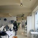 제주바개트 이미지