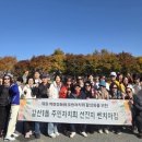 피나클랜드 이미지