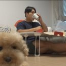 강아지 지니 이미지