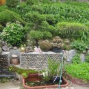 코레스코치악산콘도미니엄 이미지