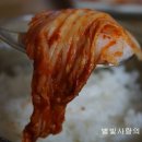 내 입맛에 맛있는 부귀농협 마이산 포기김치