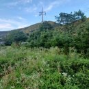 선현농장 이미지