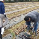 미력축산 이미지