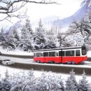 (신기하고 재미있는) 생활 과학 이미지