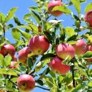 성주농장 이미지