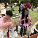 클래시 아뜰리에