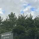 [제주 독채숙소] 롯데리조트제주 아트빌라스 켄코쿠마 63평 | 히노키탕, 야외 자쿠지