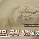 천기누설맥주효모의 효능 먹는법 탈모 맥주효모 분말 파는곳