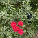 골프존파크 신설24시점 이미지