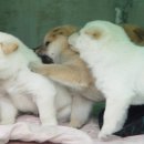 희 - 거제시 아주1로1길 34-1 | 희