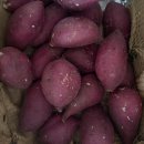 카우스토리팜 이미지