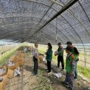 삼랑진행정복지센터 이미지