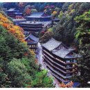 루시다호텔 이미지