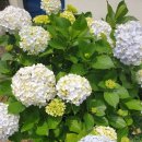 보담애월 | 애월 독채펜션 보담애월, 신축 감성숙소에서의 편안한 하루