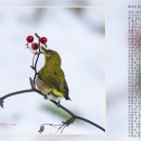 화조도 (花鳥圖) / 심규선 이미지