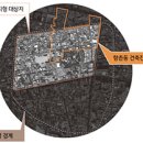 다시 뛰는 대구의 심장 성내 이미지