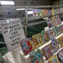 새빛솔금 이미지