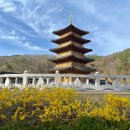 백수문학관 화장실 | 경북 구미김천 가볼만한곳 사명대사공원 벚꽃 주차