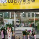 Lucky 애견샵 이미지