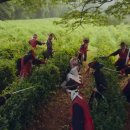 서인상사 이미지