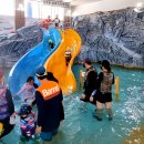 물나들이 이미지