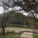 초아목장 이미지